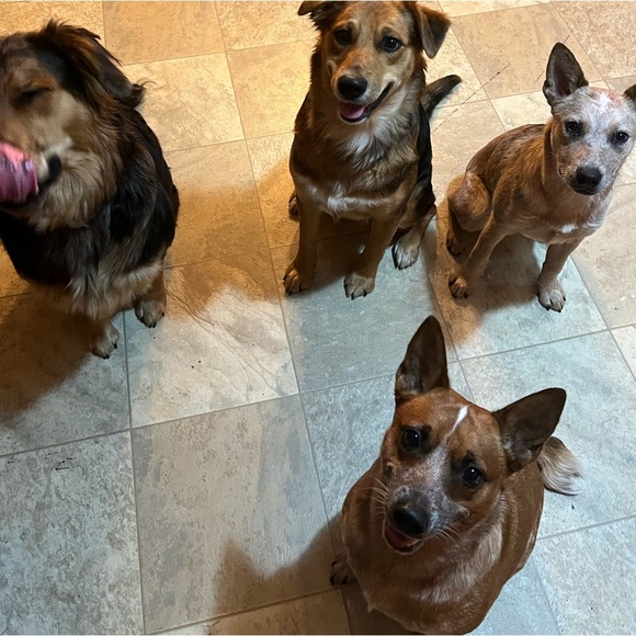 🦩🦩🦩🦩🦩 join the flock tag list - Picture 12 of 15